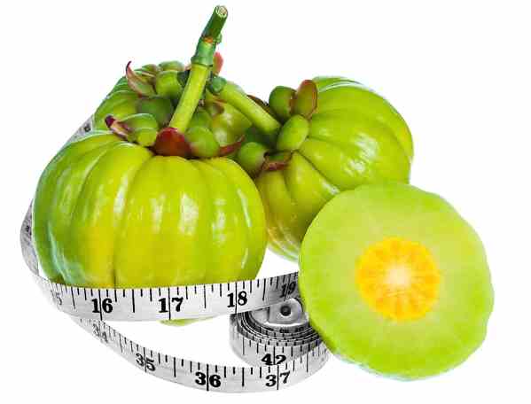 garcinia cambogia extract.jpg